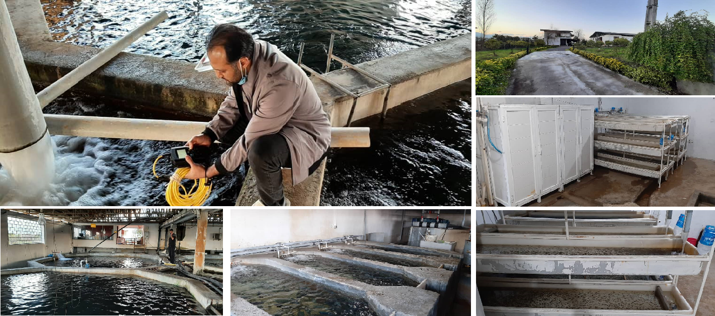 بازدید مورخ 1400/10/15 طرح یاوران تولید مركز تحقیقات ماهیان سردآبی کشور